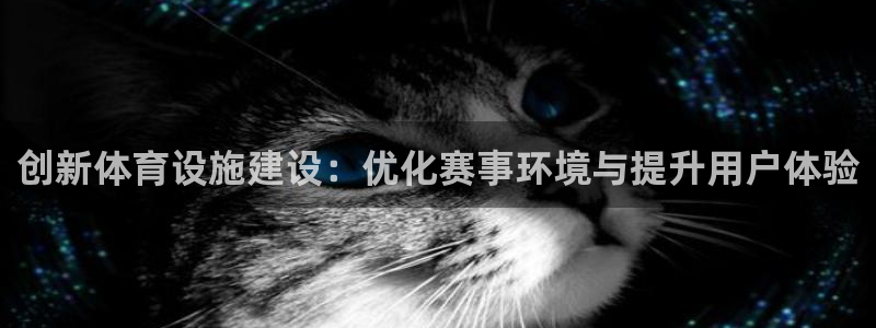 意昂5(KGAME)体育招商电话是多少啊：创新体育设施建设：