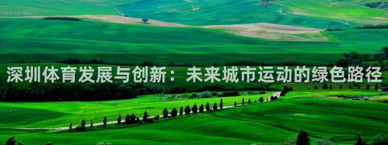 意昂5(KGAME)科技：深圳体育发展与创新：未来城市运动的