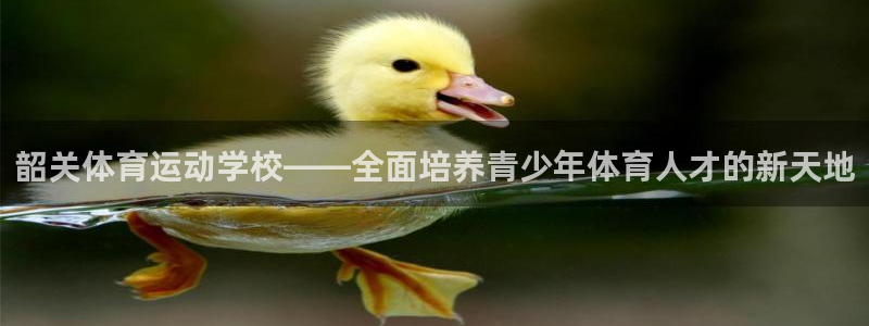 中欧体育
