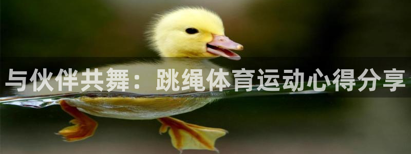 中欧体育网页版