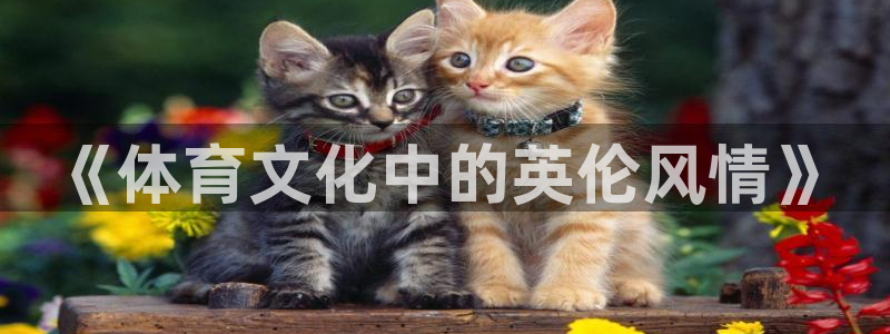 中欧体育官网