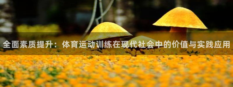 中欧体育kok官网首页