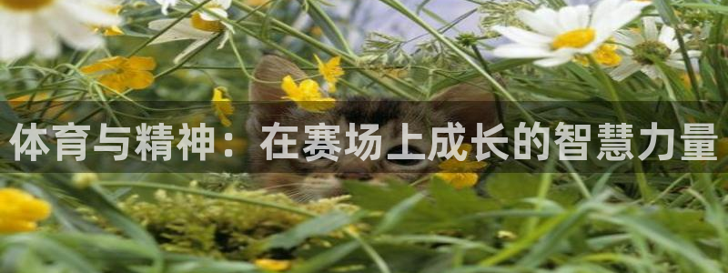 zoty中欧体育平台
