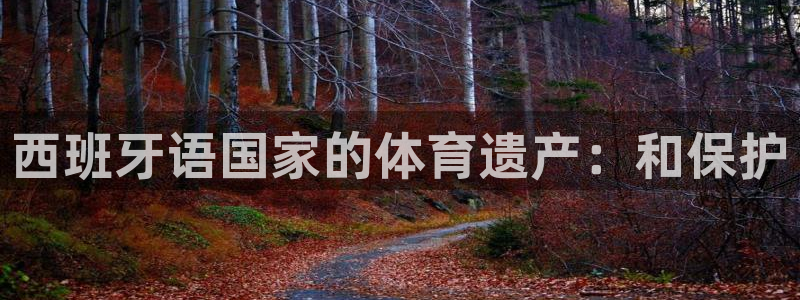 中欧体育最新地址