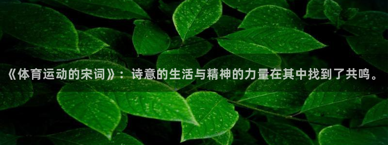 zoty中欧体育网址多少