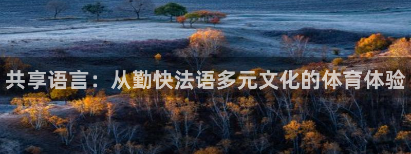 kok新版中欧体育