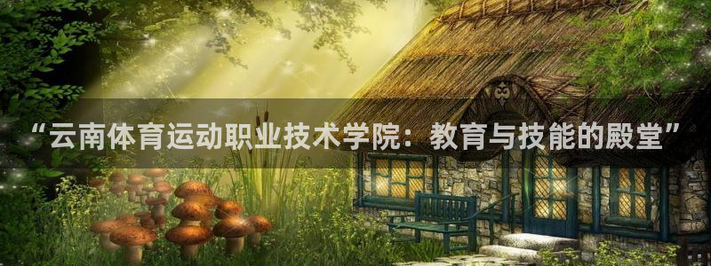 zoty中欧体育网址多少
