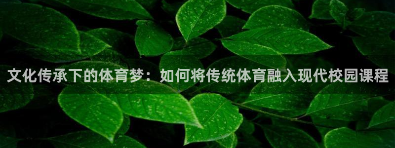 中欧体育官网入口